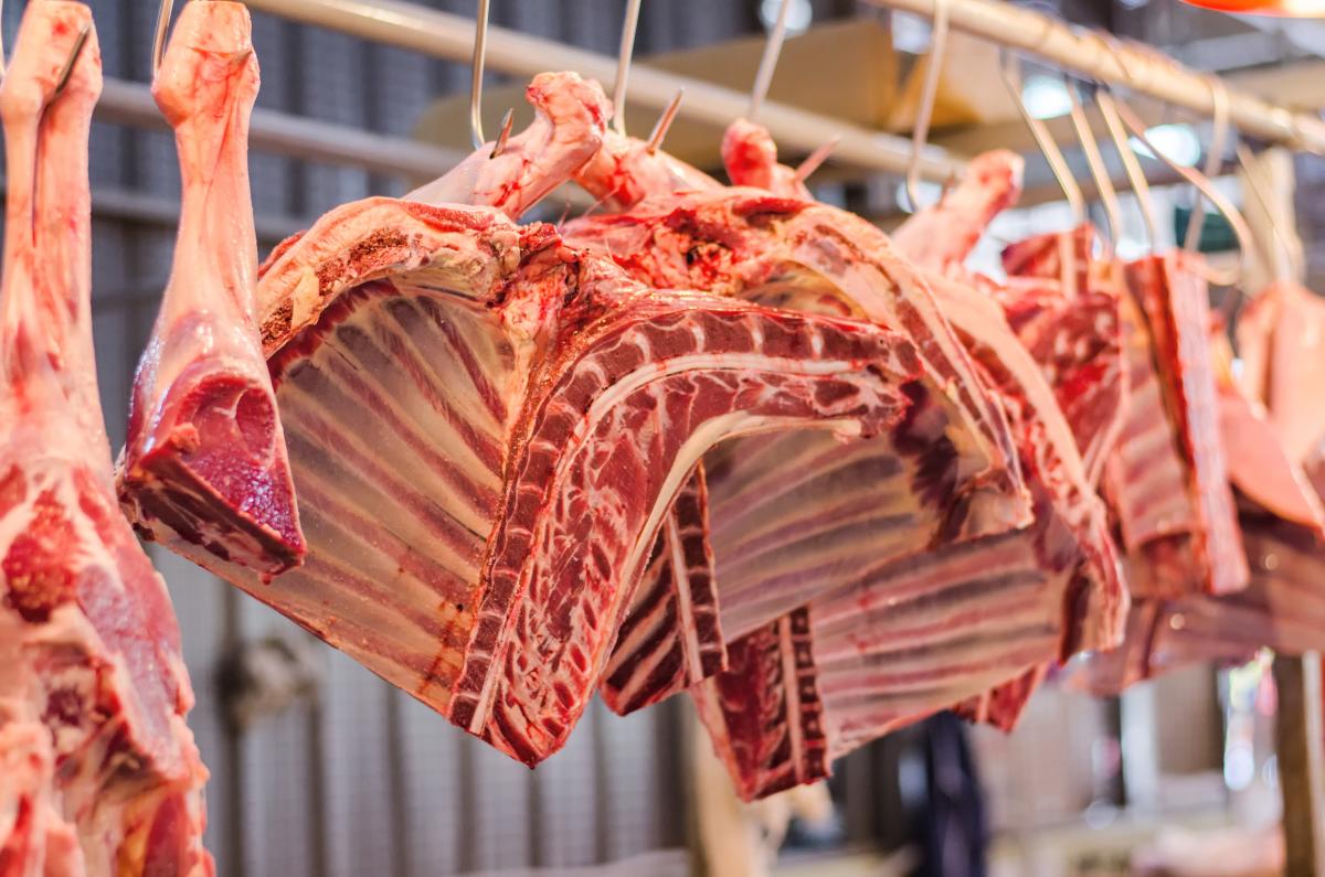 На дорогах между регионами могут появиться посты досмотра товаров, подлежащих ветеринарному контролю