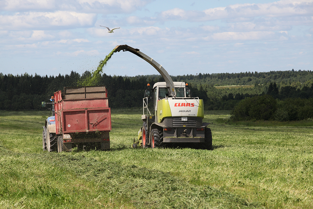 В сельхозорганизациях Вологодской области завершена заготовка кормов