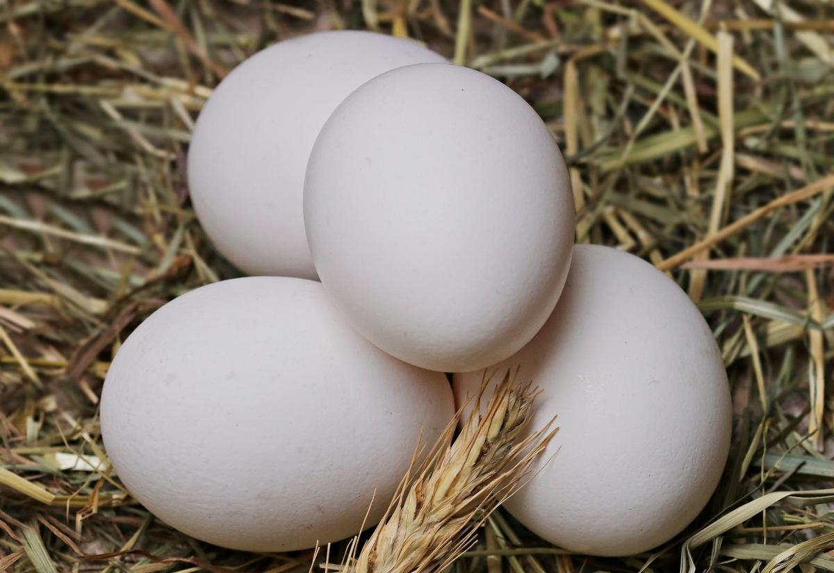 В Ивановской области самые низкие в ЦФО цены производителей на яйца