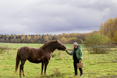 Более 50 агротуристичнских проектов получат грантовую поддержку Минсельхоза в 2026 году 