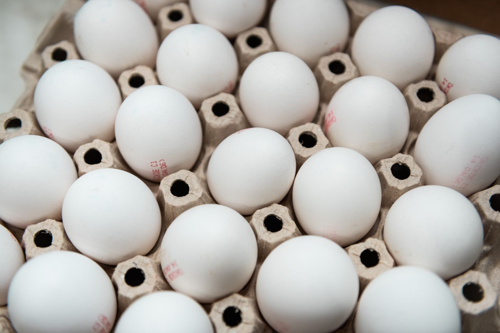 По прогнозам к 2030 году производство яиц в Подмосковье вырастет почти в шесть раз