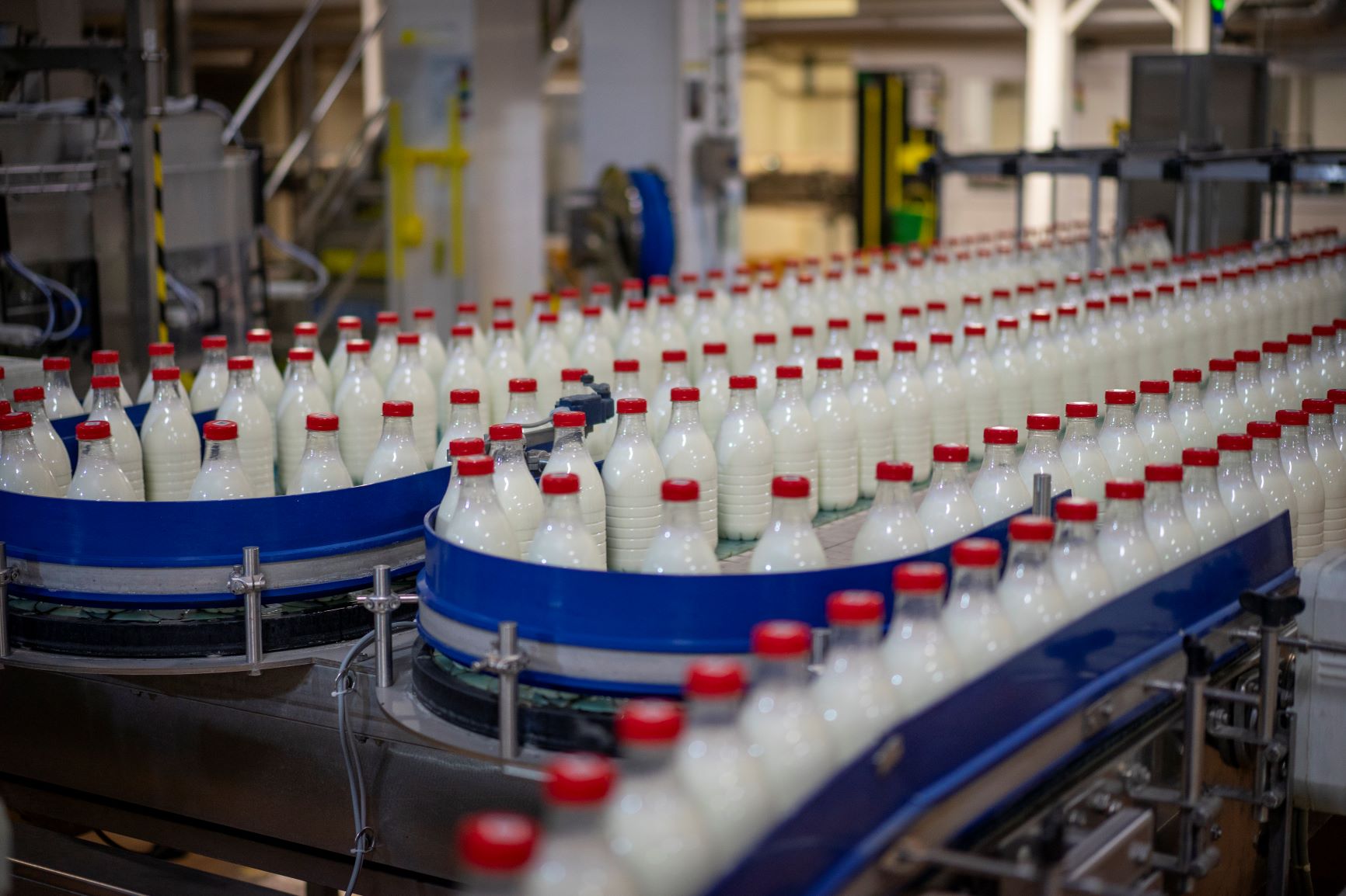 В Башкортостане в модернизацию молочного завода вложат более 5 млрд рублей