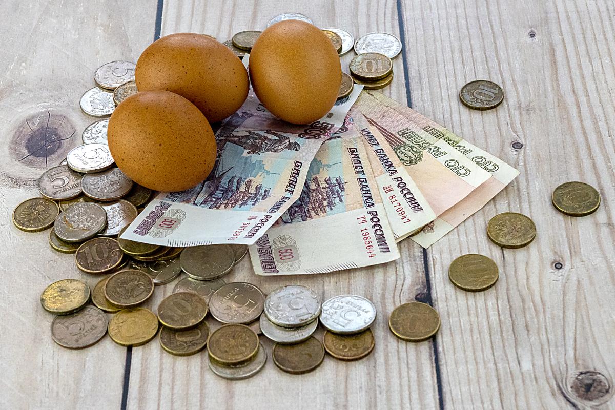 Аграрии Калмыкии получили из федерального бюджета 722 млн руб. господдержки
