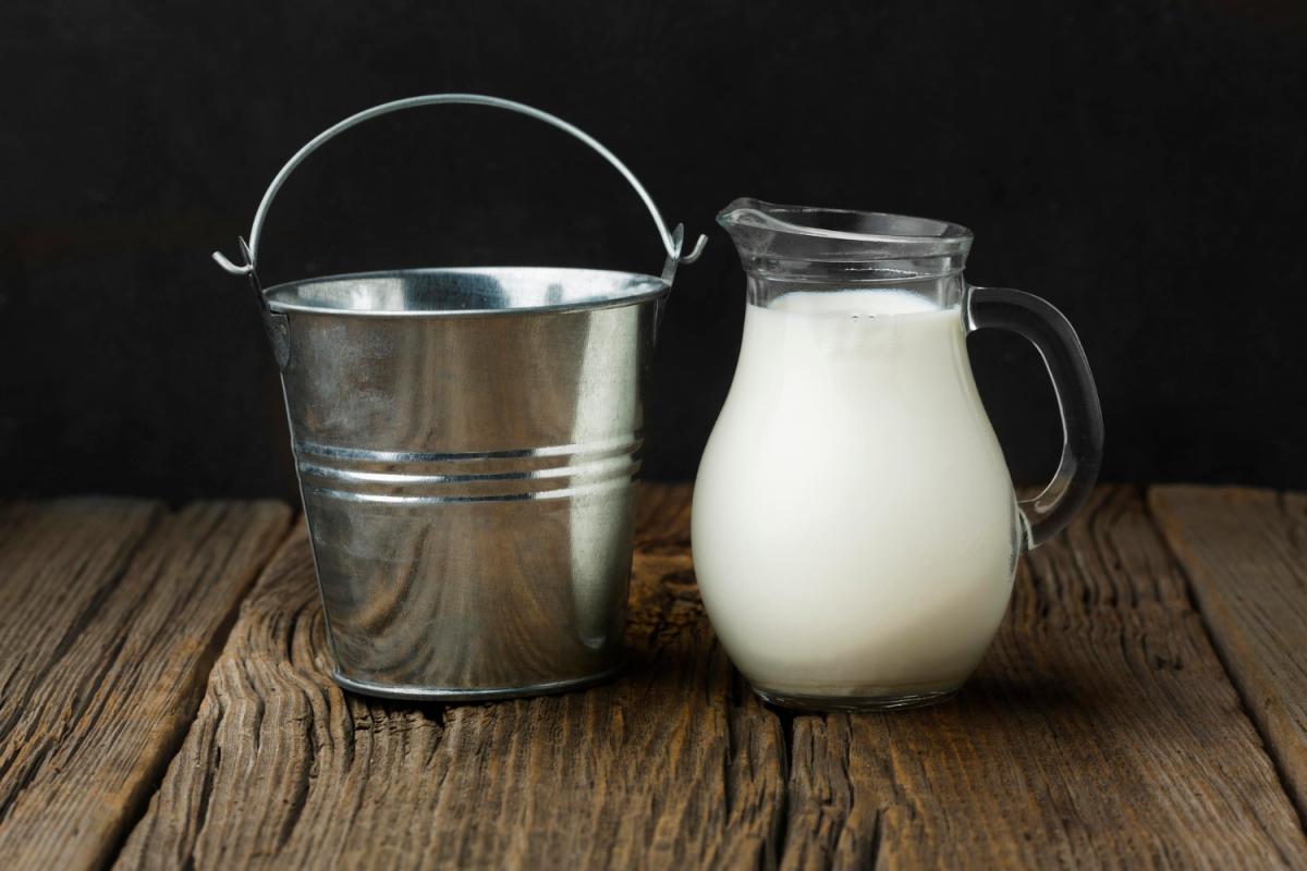 В январе — ноябре 2023 года на Вологодчине произвели почти треть всего сырого молока в СЗФО