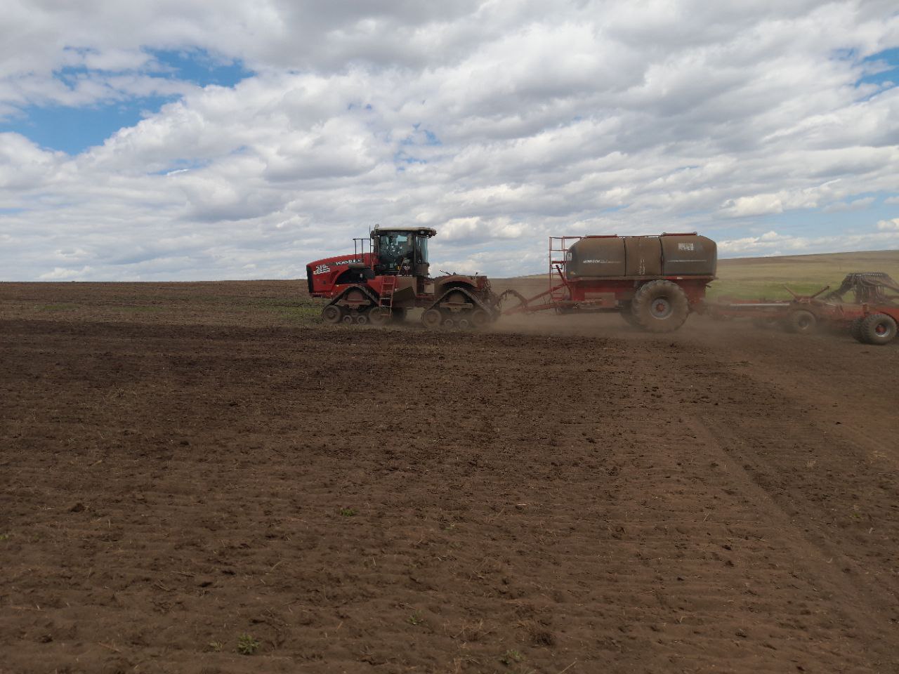 Расторопшу в лекарственных целях начнут выращивать в Забайкалье