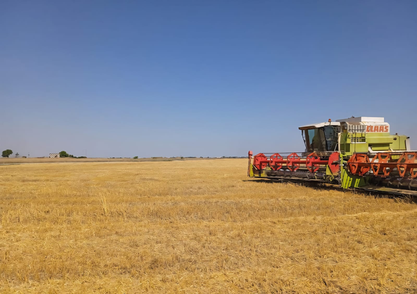 В Северной Осетии стартовала уборка озимых культур