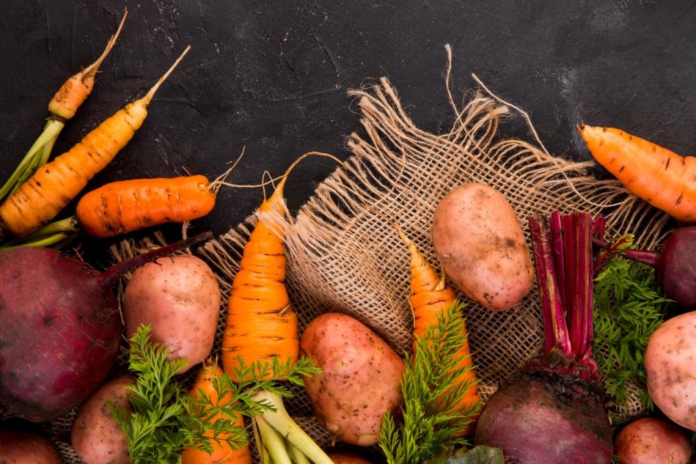 В Московской области за 4 месяца отгружено свыше 93 тыс. т овощей 