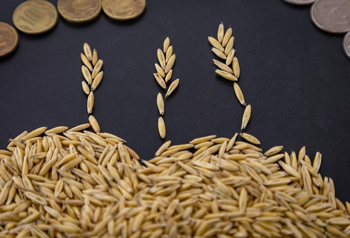 У зерновой биржи БРИКС есть хороший потенциал — Минсельхоз