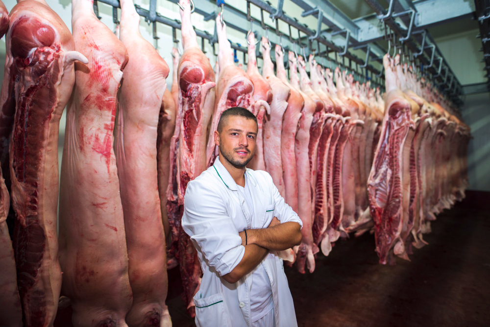 В Белгородской области цены производителей на свинину снизились почти на 8%