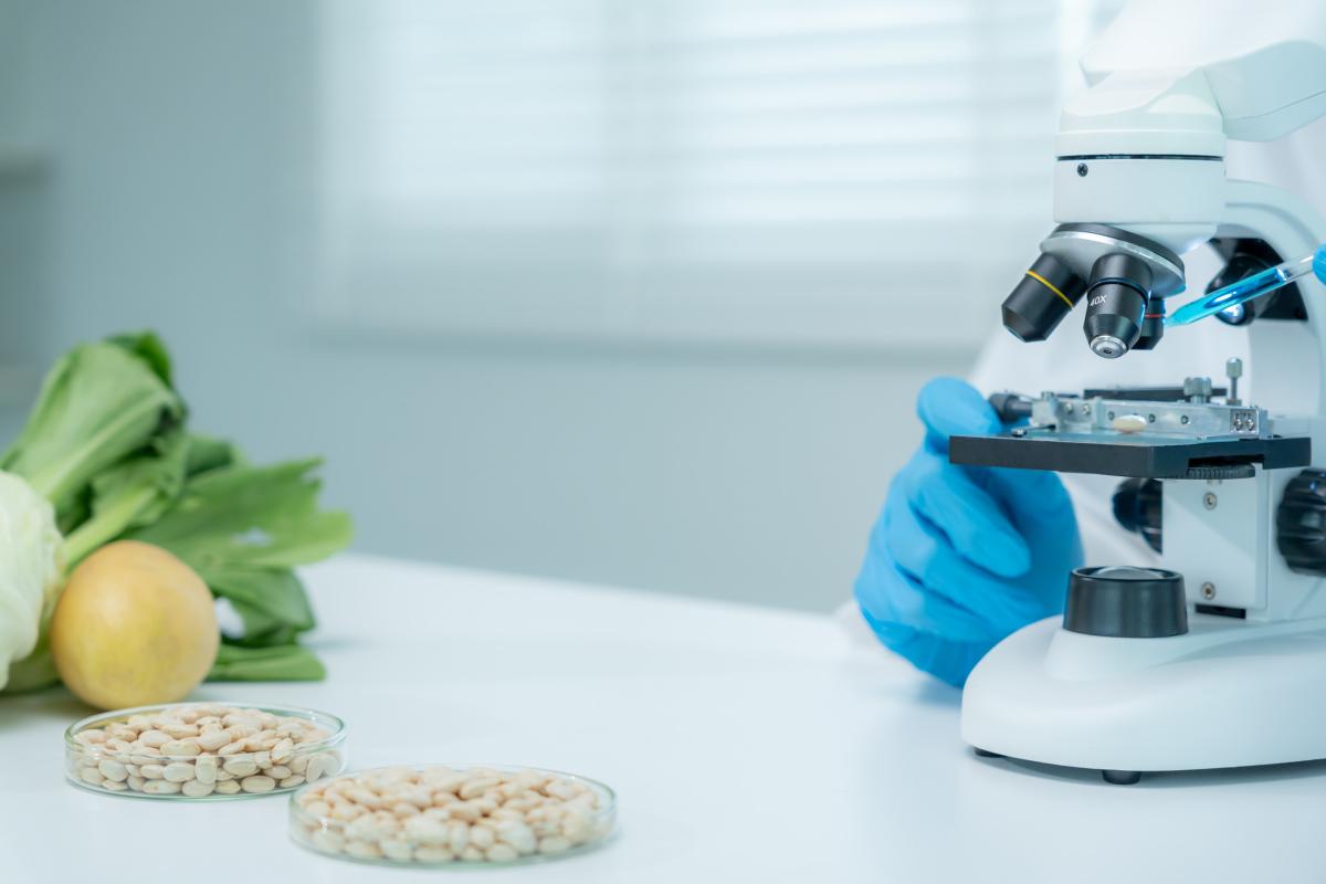 Российская система оценки качества зерна превзошла ожидания — ЦОК АПК