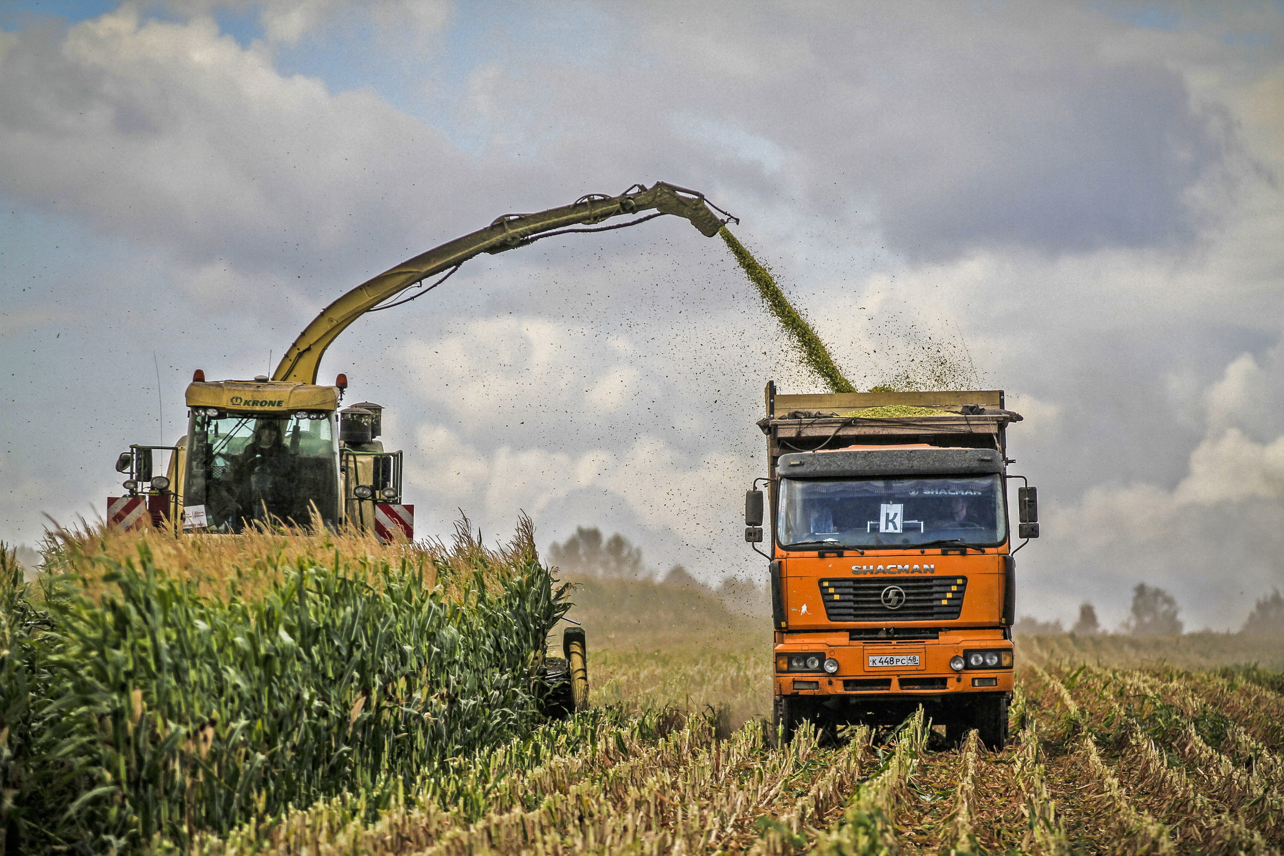 В Липецкой области завершается заготовка кормов