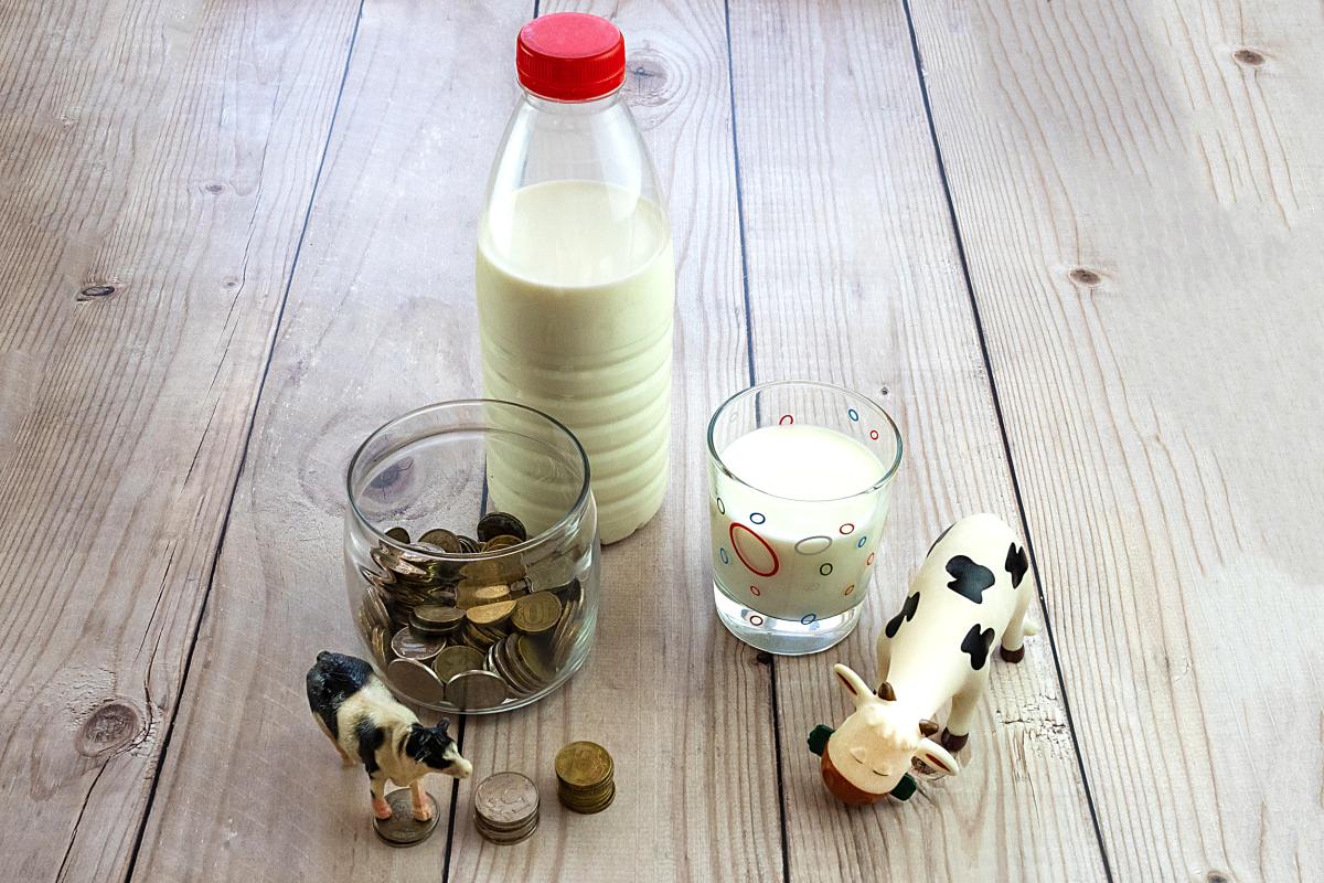 Удмуртские сельхозорганизации на 5,5% увеличили суточное производство молока