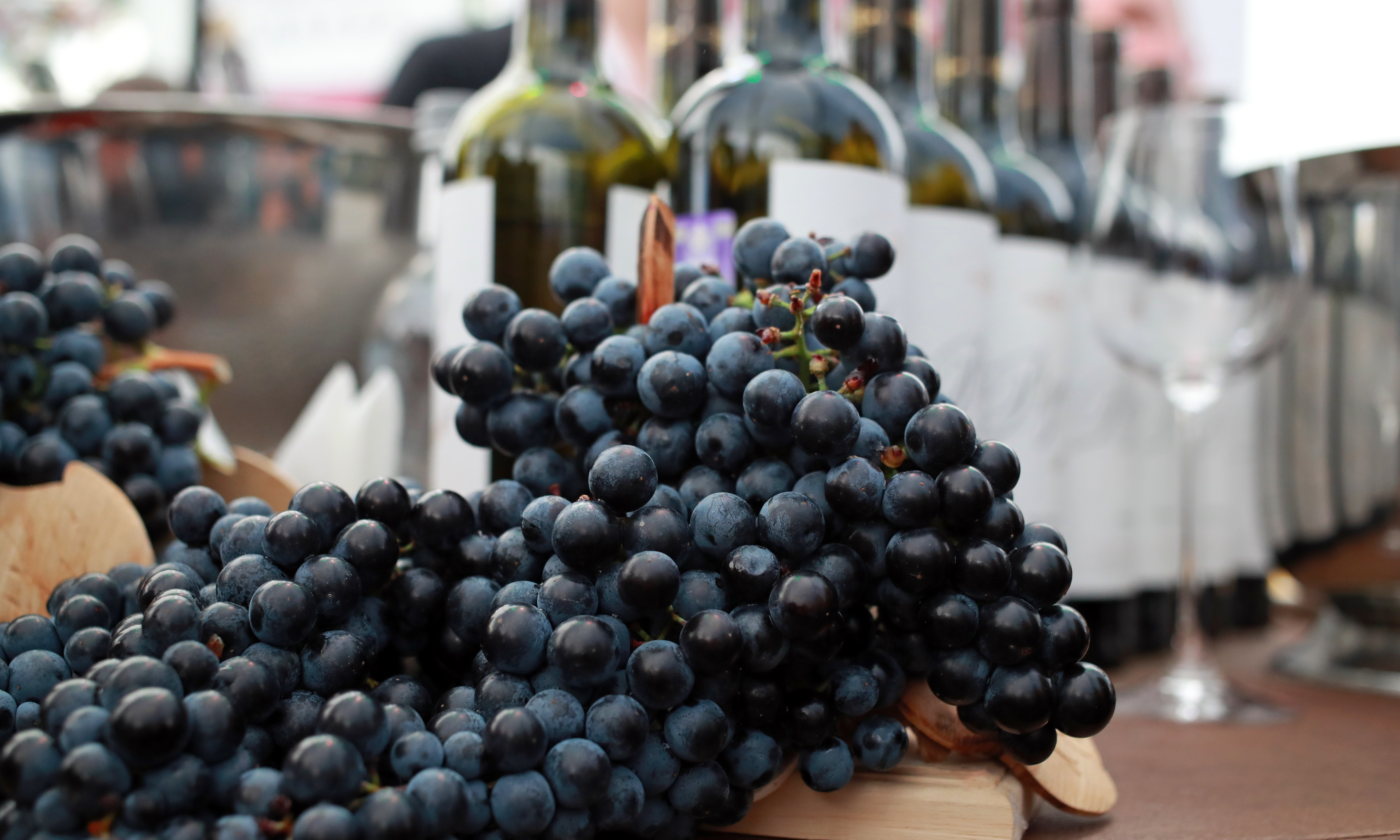 Продажи российских вин увеличились на 6,8%