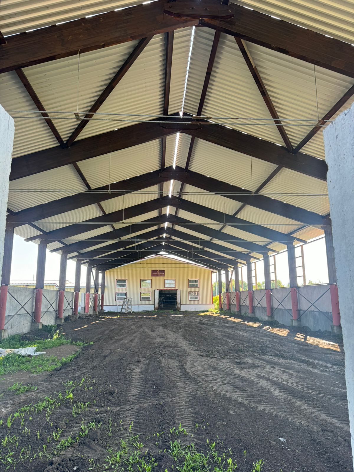 Молочный комплекс в Кривошеинском районе Томской области реализует инвестиционный проект с господдержкой