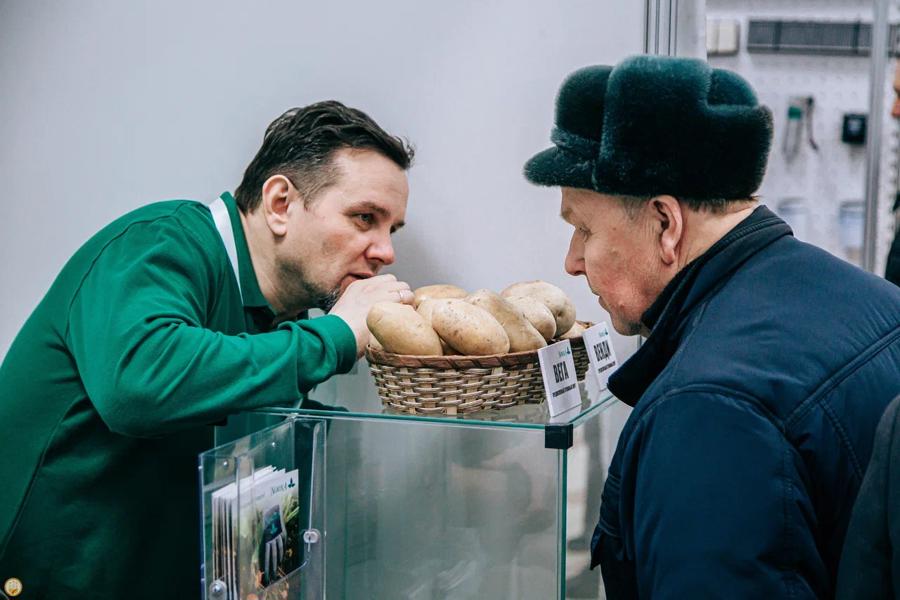 Около 70 компании России представят товары на своих экспозициях на Межрегиональной отраслевой выставке «Картофель-2025» в Чувашии