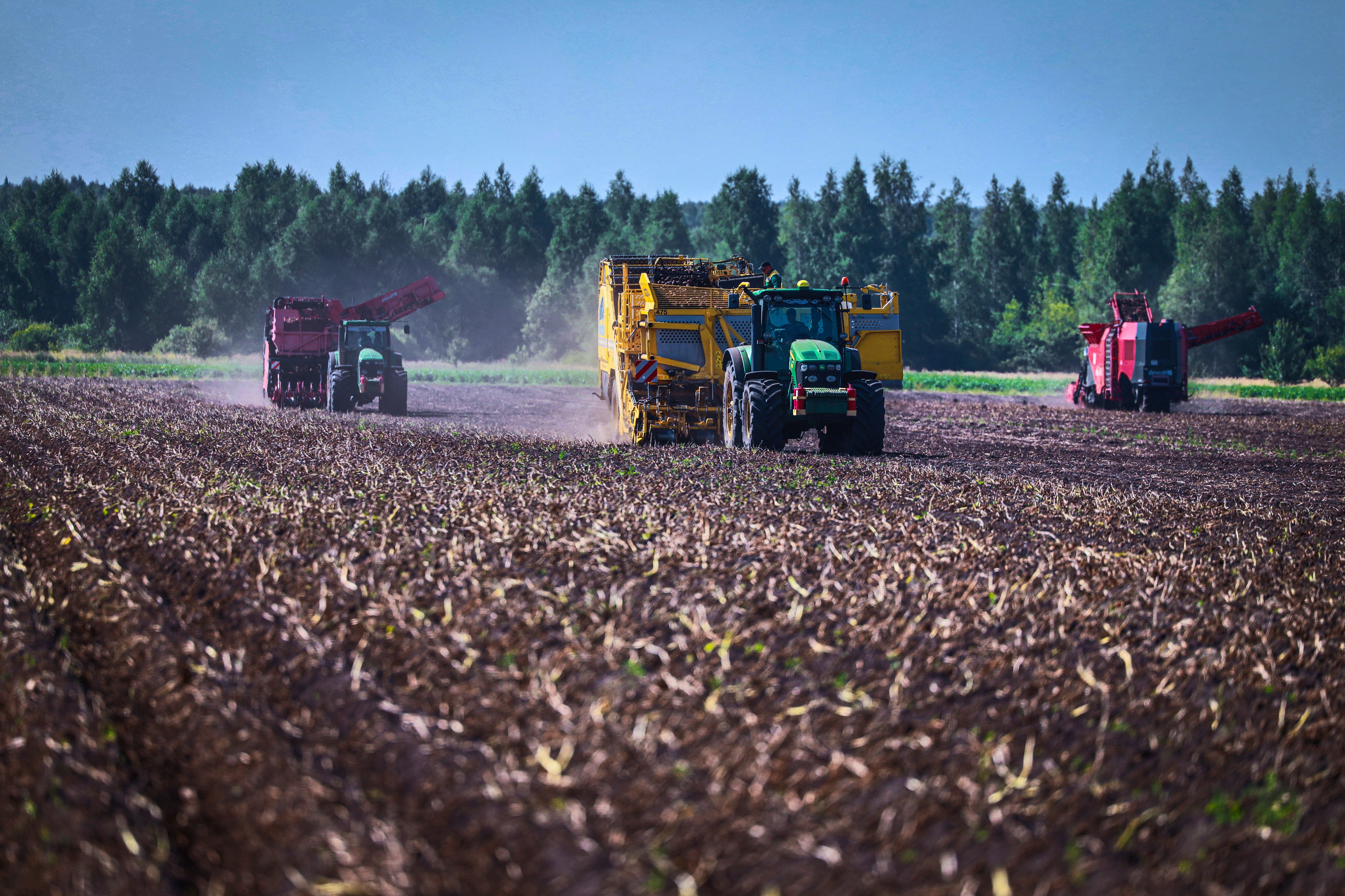 130 тысяч тонн картофеля уже собрали липецкие аграрии