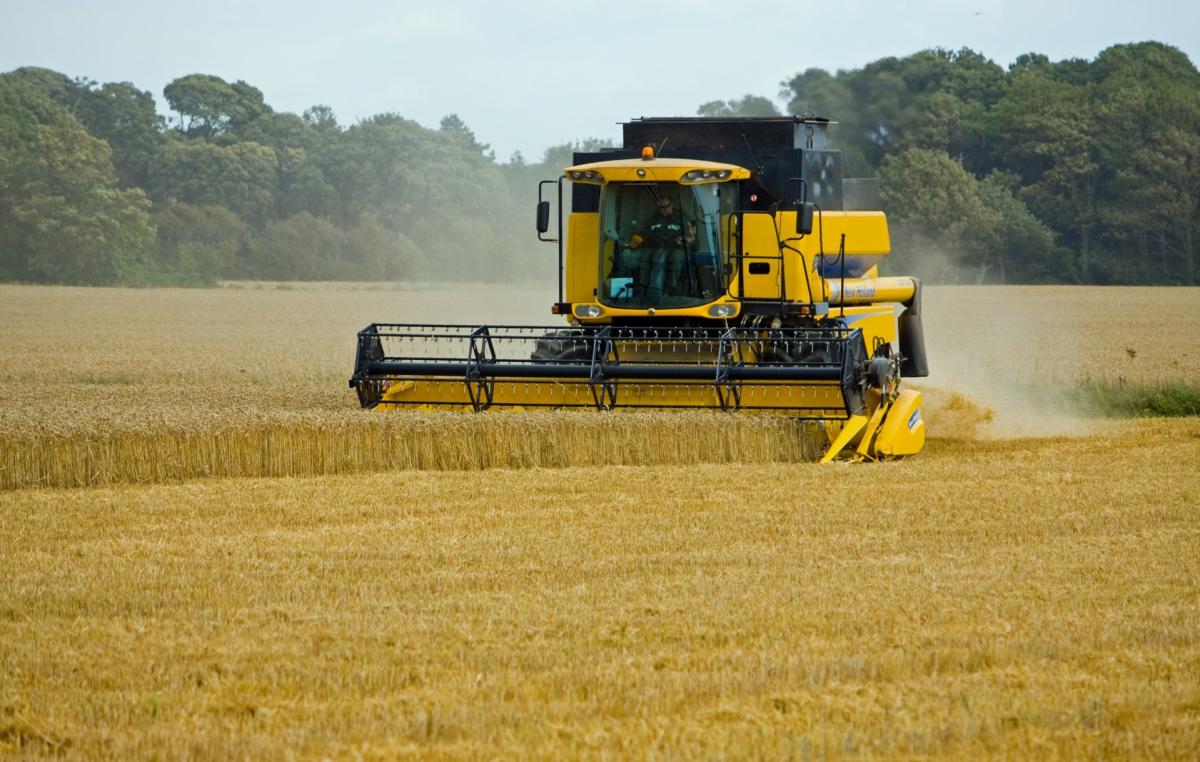 В Калужской области уборка зерновых прошла на 88,5% площади
