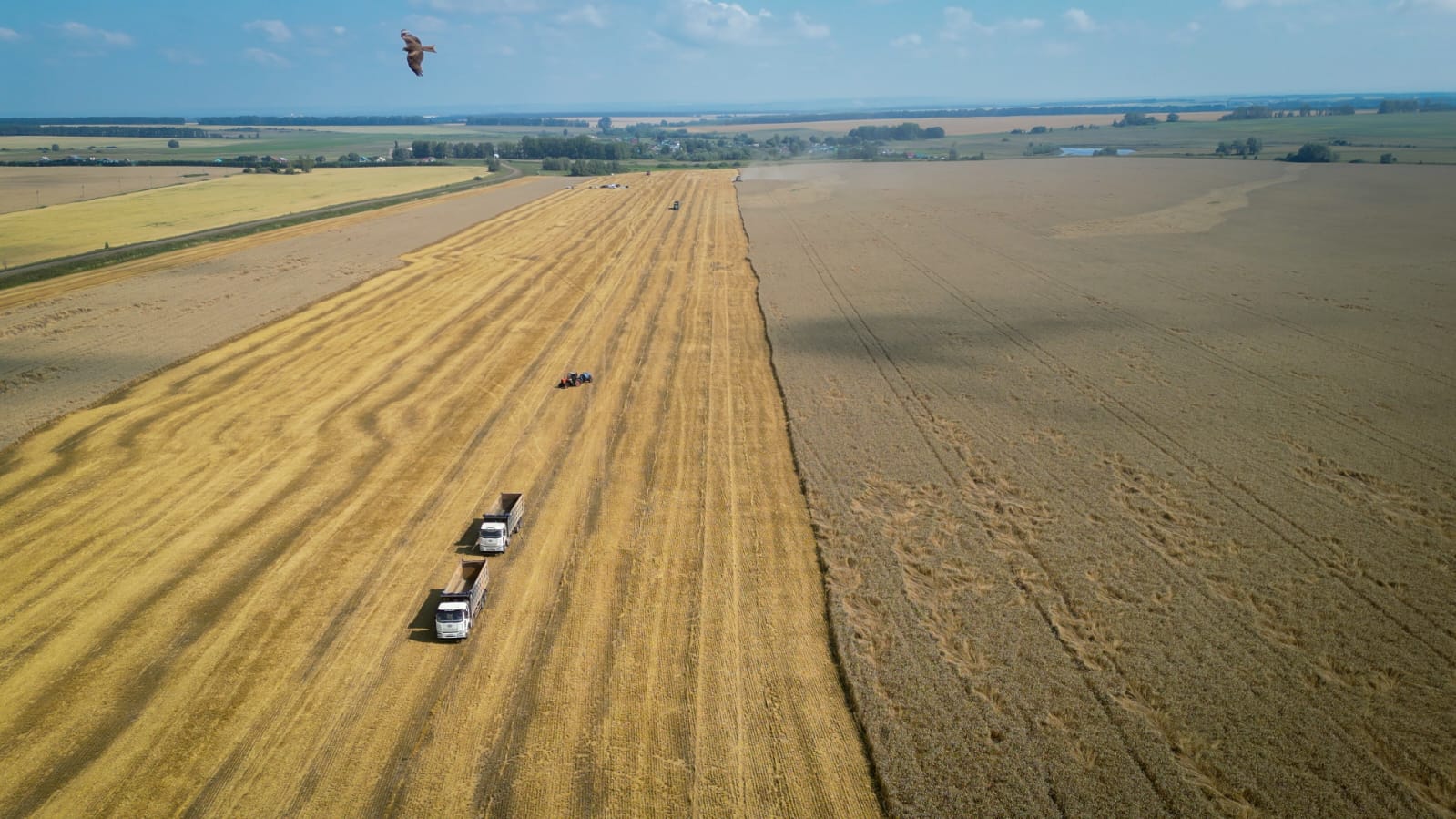 В Башкортостане собрали более 1 млн тонн зерна