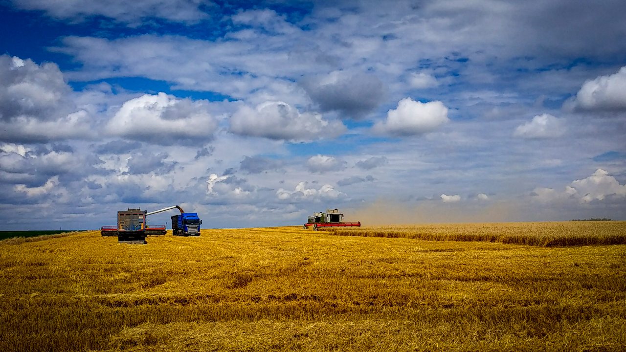 Посевные площади Липецкой области практически не изменились за 30 лет