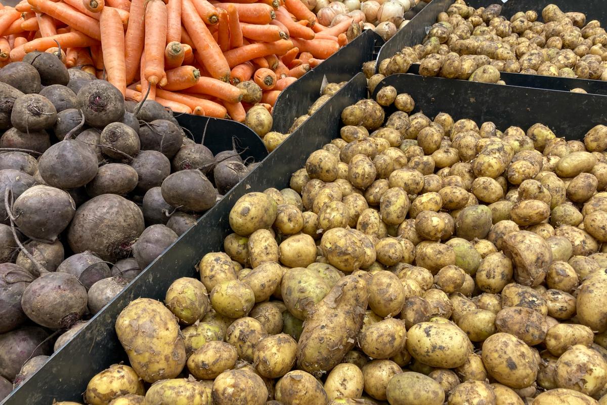 Кировские сельхозорганизации в декабре отгрузили на 82% больше картофеля, чем годом ранее