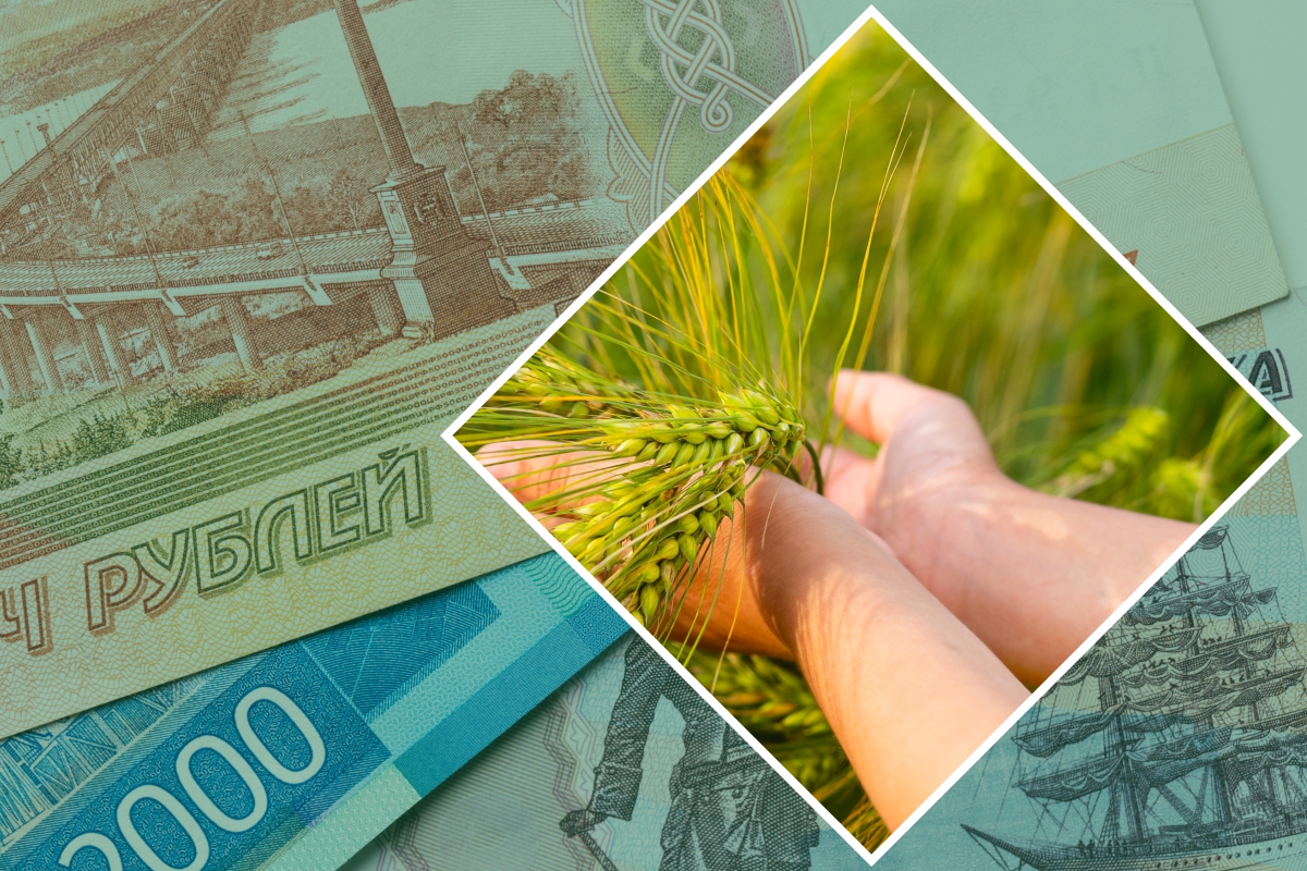 На поддержку аграриев и развитие сел Калмыкии в 2024 году предусмотрен почти 1 млрд руб.