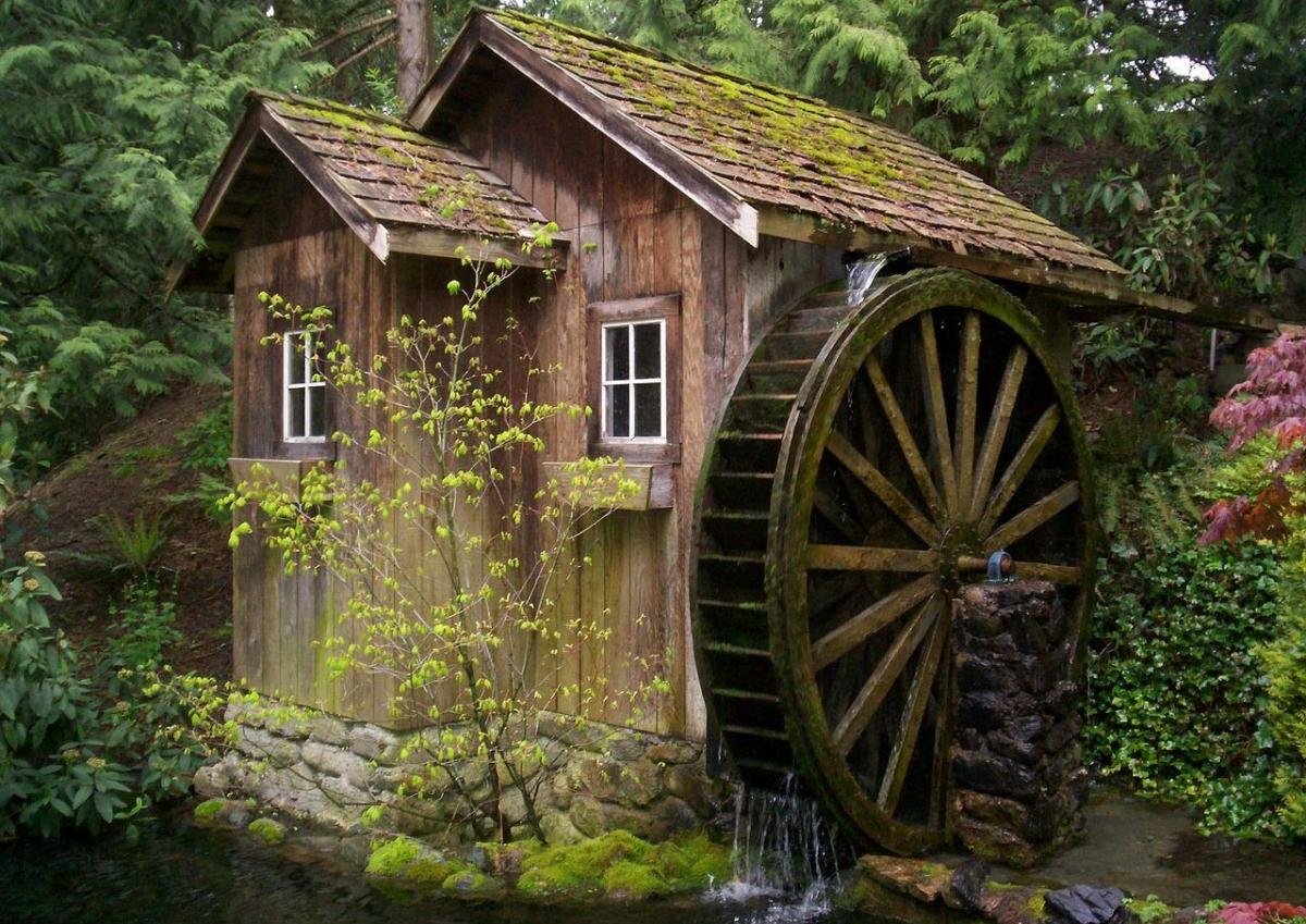 2 проекта из Ленинградской области получат гранты на развитие агротуризма