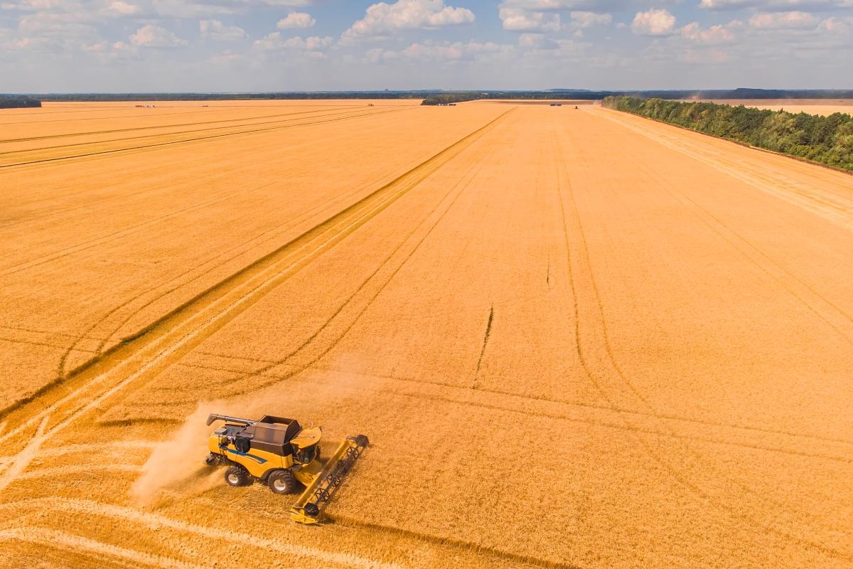 В Оренбургской области намолочено 1,22 млн т зерна