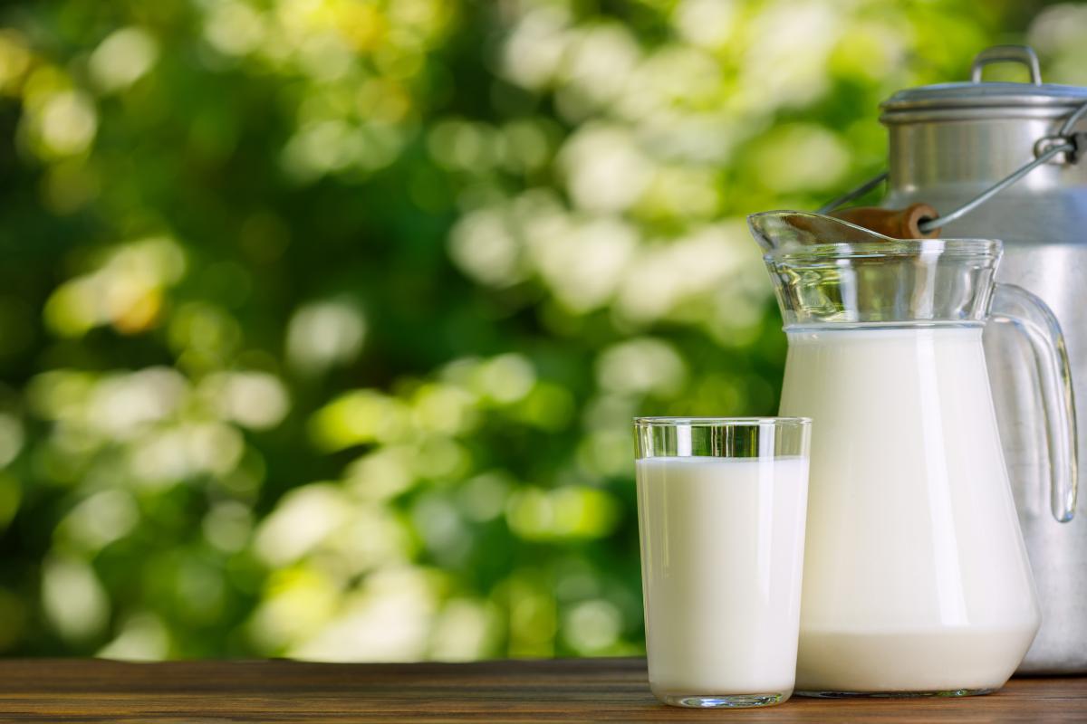 РСХБ: потребление молока в России составило рекордные 250 кг на душу населения в год 