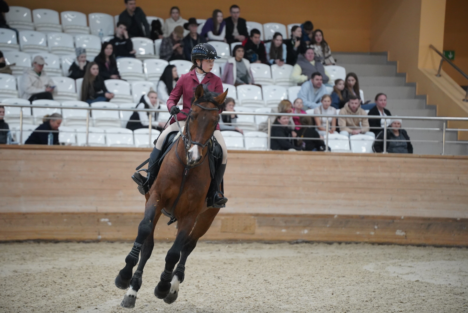 В Казани состоялось открытие Чемпионата и Первенства Республики Татарстан по конкуру и выездке