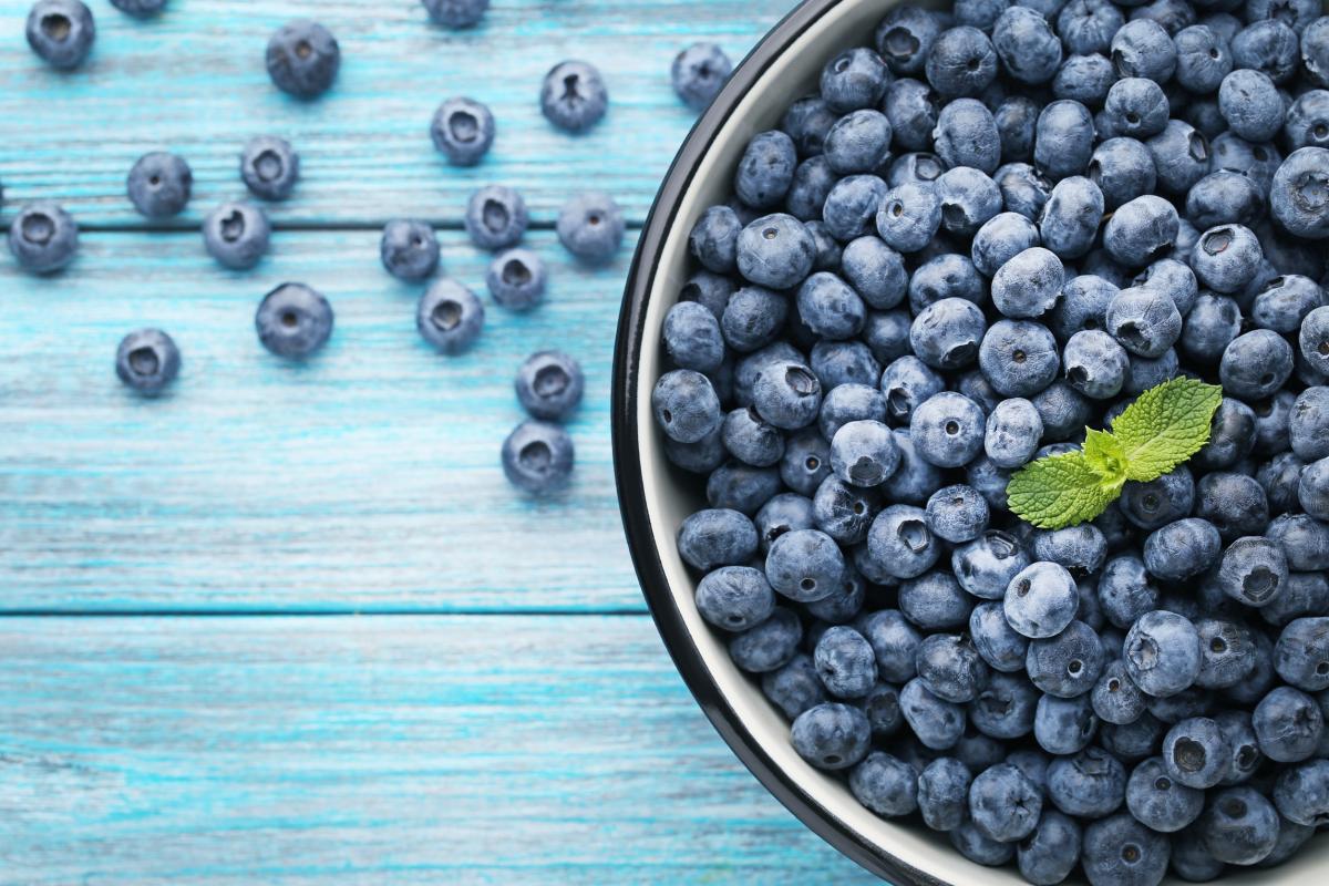 В северных регионах ЦФО наращивают производство голубики