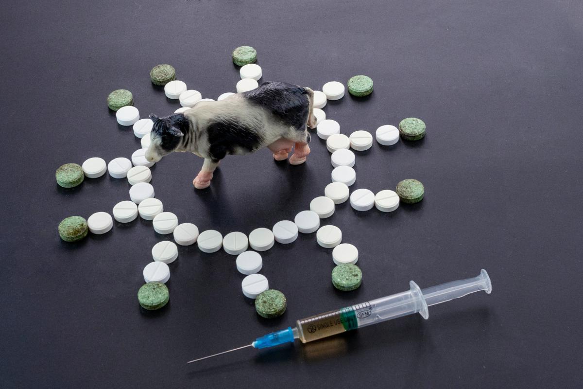 Центр компетенций зооветеринарной отрасли создан в странах БРИКС