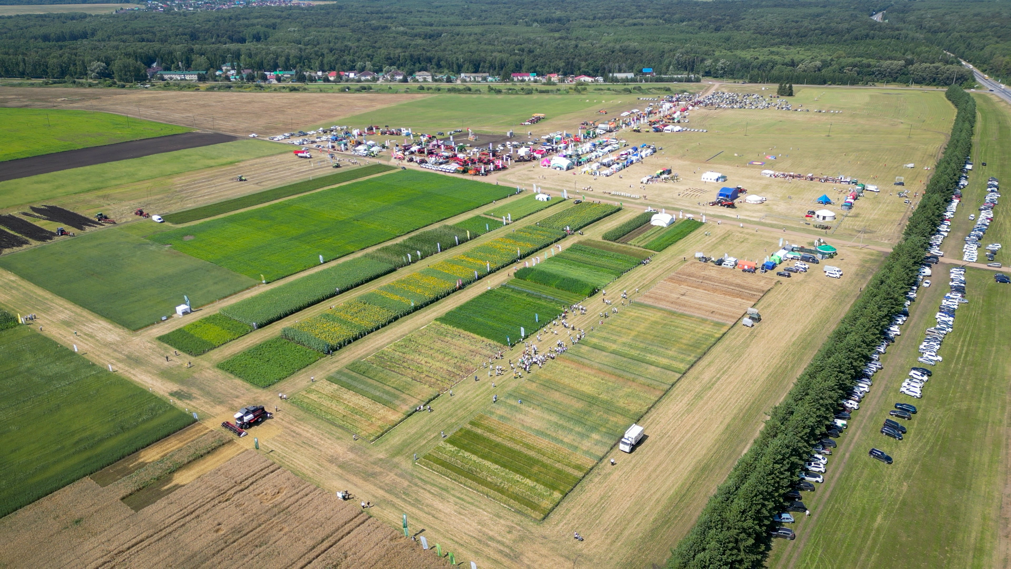В экспозиции региональной выставки «День поля-2025» в Башкортостане приняли участие 70 компаний