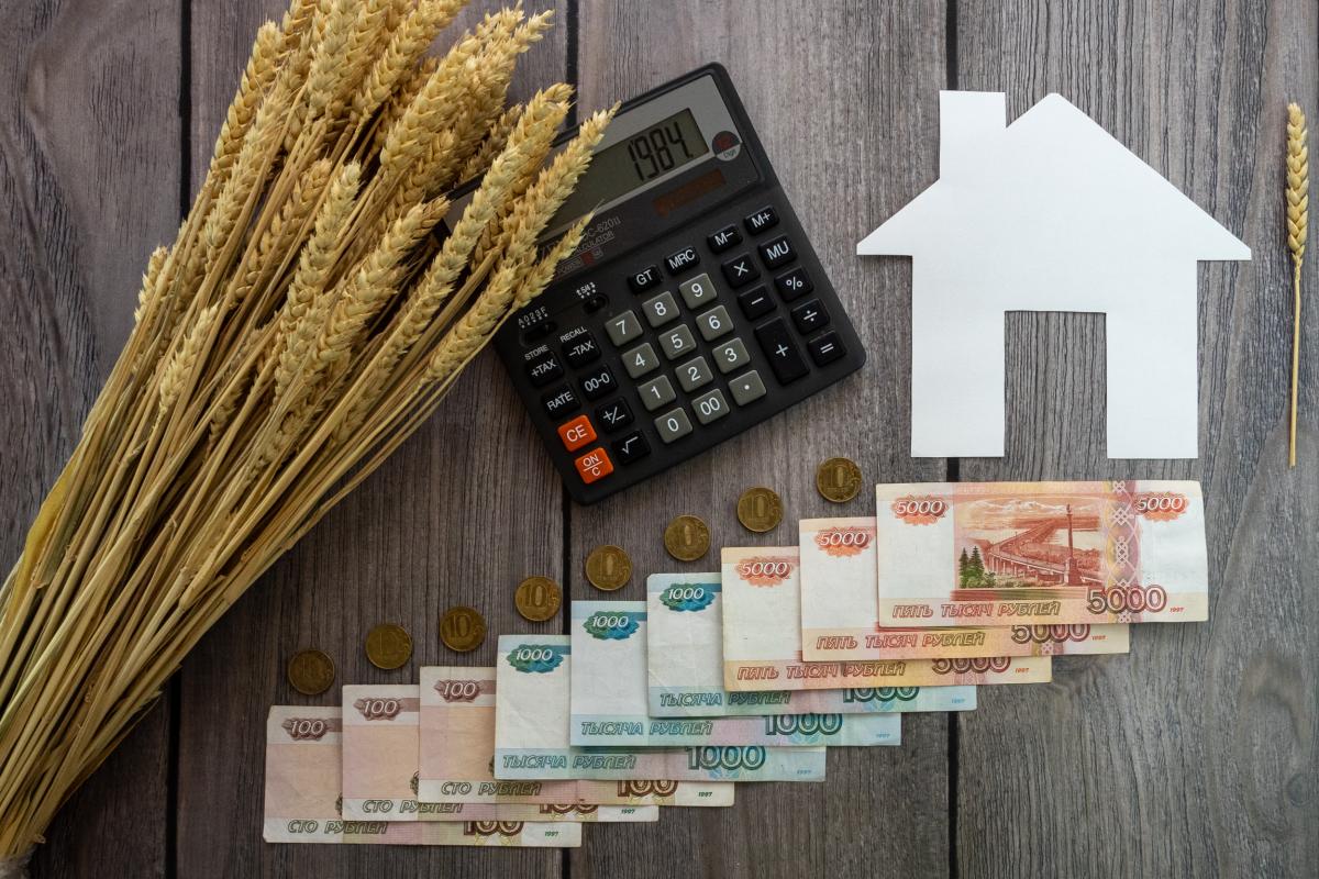 Аграриям Курской области перечислено 6 млрд руб. господдержки