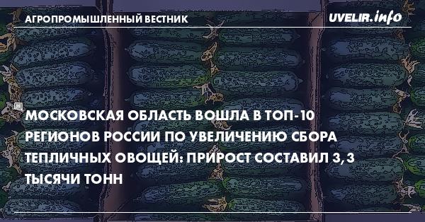 Московская область вошла в ТОП-10 регионов России по увеличению сбора тепличных овощей: прирост составил 3,3 тысячи тонн