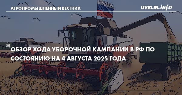 Обзор хода уборочной кампании в РФ по состоянию на 4 августа 2025 года