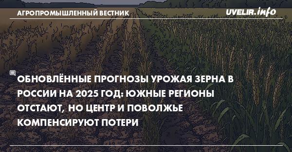 Обновлённые прогнозы урожая зерна в России на 2025 год: южные регионы отстают, но центр и Поволжье компенсируют потери
