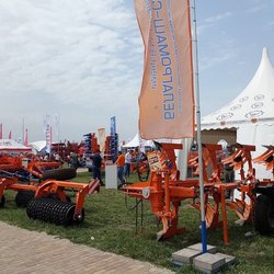 Золотая Нива 2024