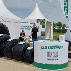 Золотая Нива 2024