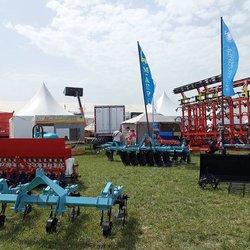 Золотая Нива 2024