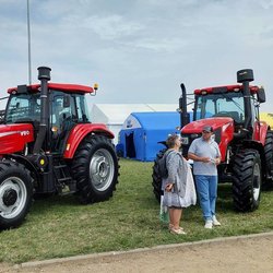 Золотая Нива 2024