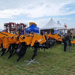 Золотая Нива 2024