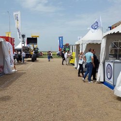 Золотая Нива 2024