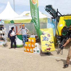 Золотая Нива 2024