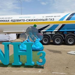 Золотая Нива 2024