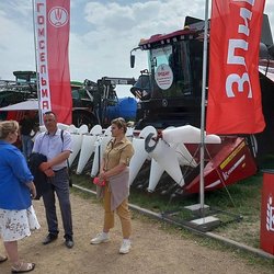 Золотая Нива 2024