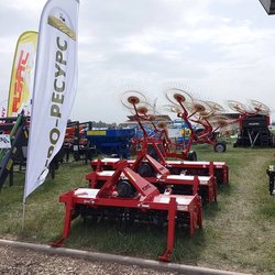 Золотая Нива 2024