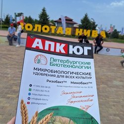 Золотая Нива 2024