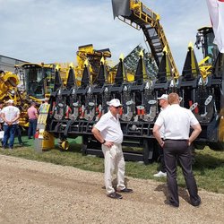 Золотая Нива 2024