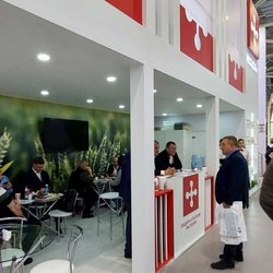 ЮГАГРО 2024: фотоотчет с выставки