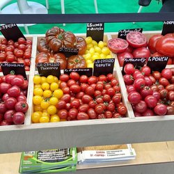 ЮГАГРО 2024: фотоотчет с выставки